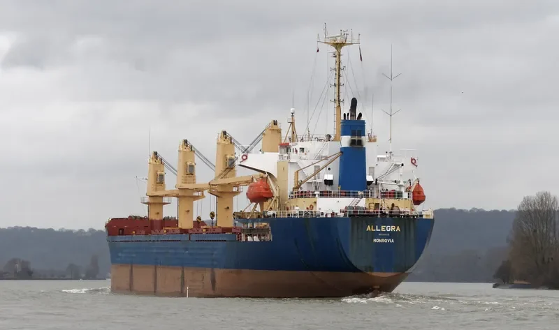 ALLEGRA Bulk Carrier IMO 9114476 photo 4
