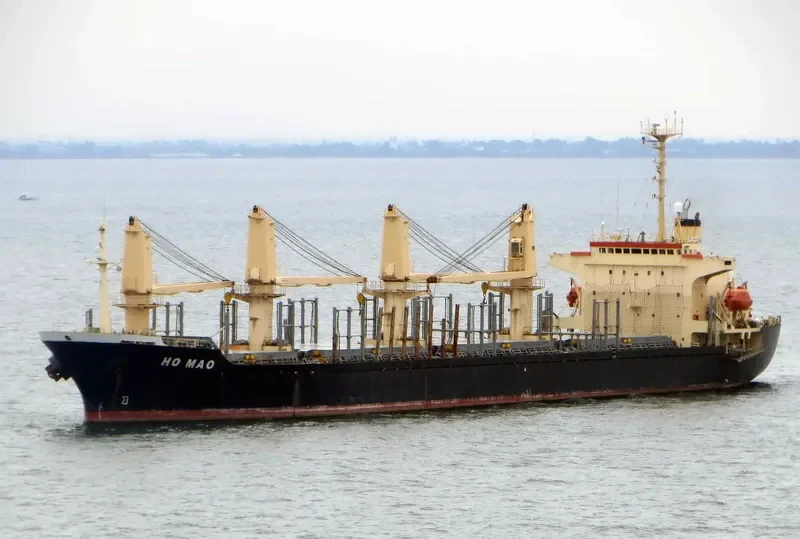 MORNING SWAN NO.1 Bulk Carrier IMO 9114490