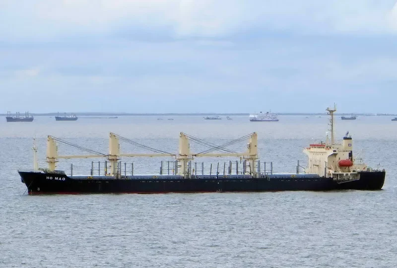 MORNING SWAN NO.1 Bulk Carrier IMO 9114490 photo 5