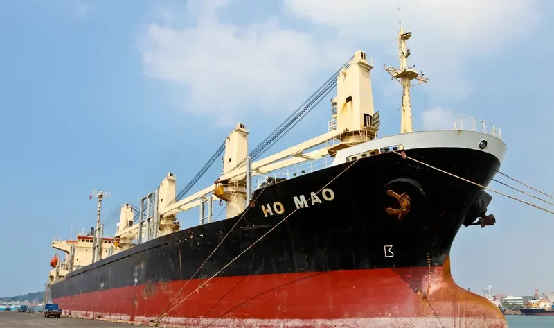 MORNING SWAN NO.1 Bulk Carrier IMO 9114490 photo 8