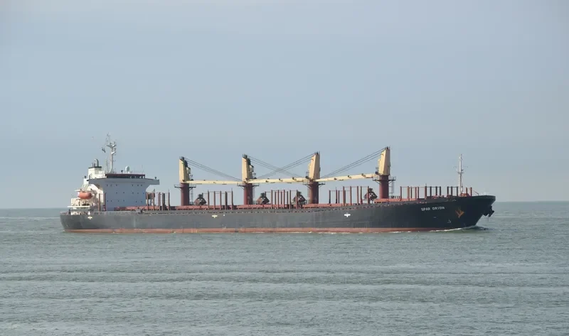EXPLORER Bulk Carrier IMO 9114622 photo 2