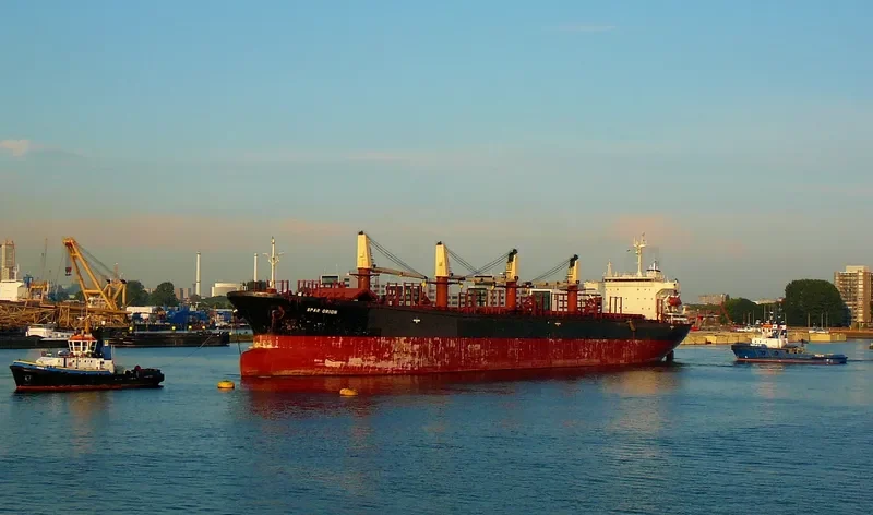 EXPLORER Bulk Carrier IMO 9114622 photo 4