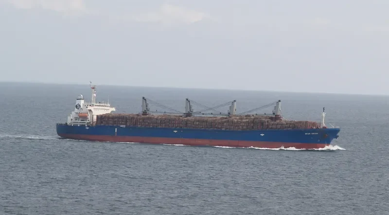 EXPLORER Bulk Carrier IMO 9114622 photo 8