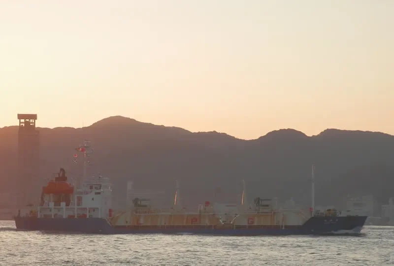 PILATUS 55 General Cargo IMO 9114646 photo 6