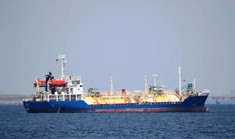 PILATUS 55 General Cargo IMO 9114646 photo 8