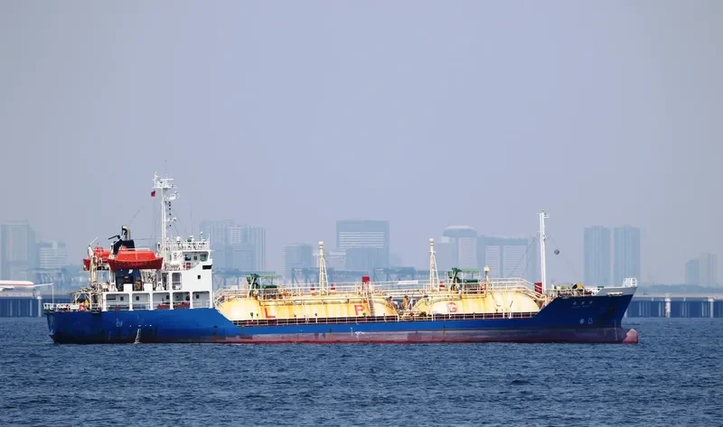 PILATUS 55 General Cargo IMO 9114646 photo 9