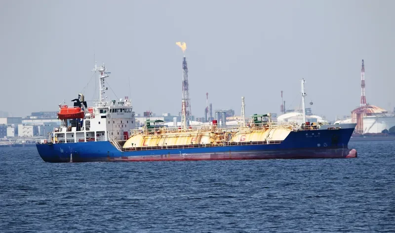 PILATUS 55 General Cargo IMO 9114646 photo 10