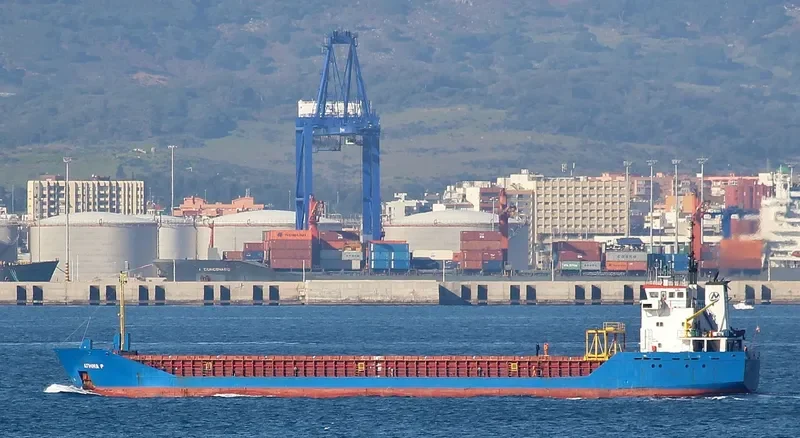 VERA ROSE General Cargo IMO 9114696 photo 7