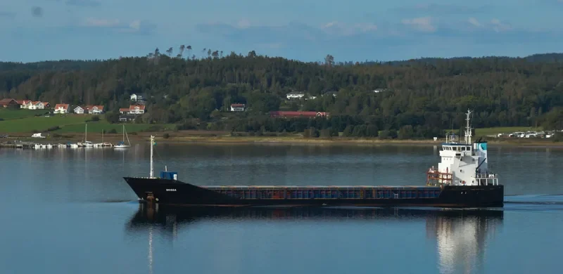 SAIL General Cargo IMO 9114713 photo 5