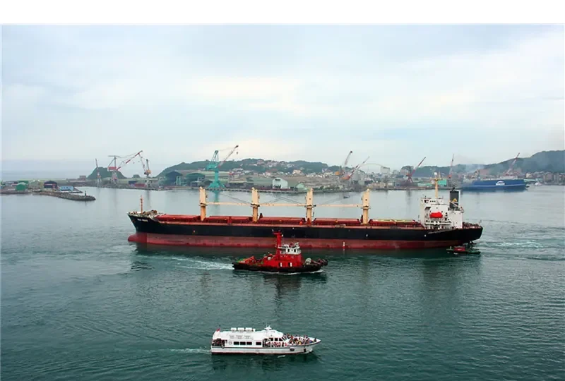 SEA ROSE Bulk Carrier IMO 9115004 photo 2