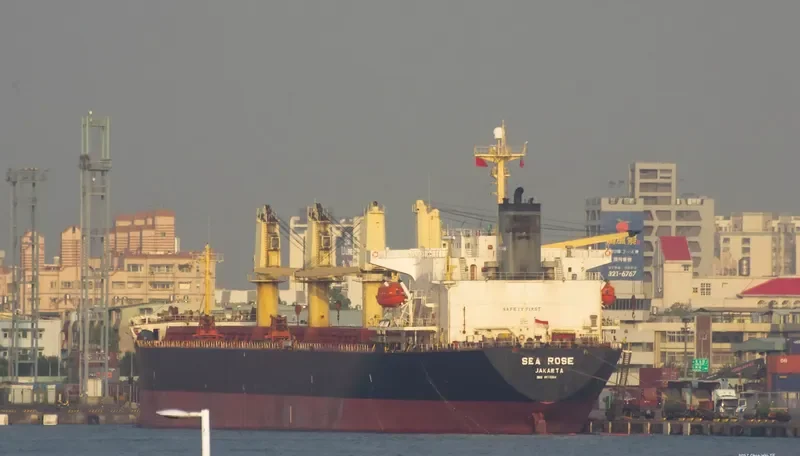 SEA ROSE Bulk Carrier IMO 9115004 photo 3
