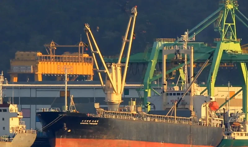 ORIENTAL TREASURE General Cargo IMO 9115028