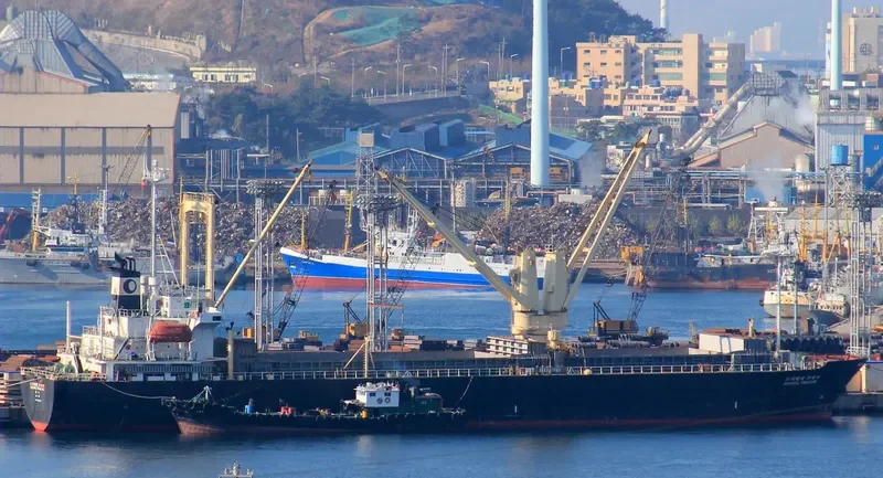 ORIENTAL TREASURE General Cargo IMO 9115028 photo 2