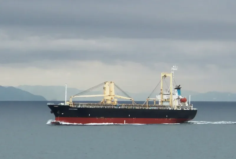 ORIENTAL TREASURE General Cargo IMO 9115028 photo 3