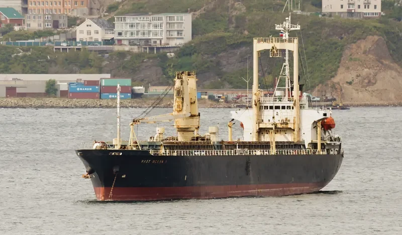 VAST OCEAN 1 General Cargo IMO 9115030 photo 3