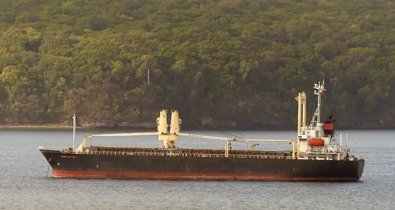 VAST OCEAN 1 General Cargo IMO 9115030 photo 4