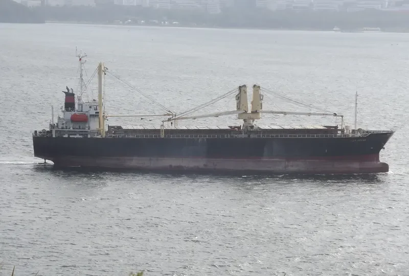 VAST OCEAN 1 General Cargo IMO 9115030 photo 10
