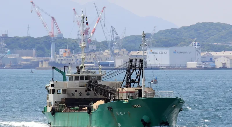HINODE MARU General Cargo IMO 9115078 photo 3