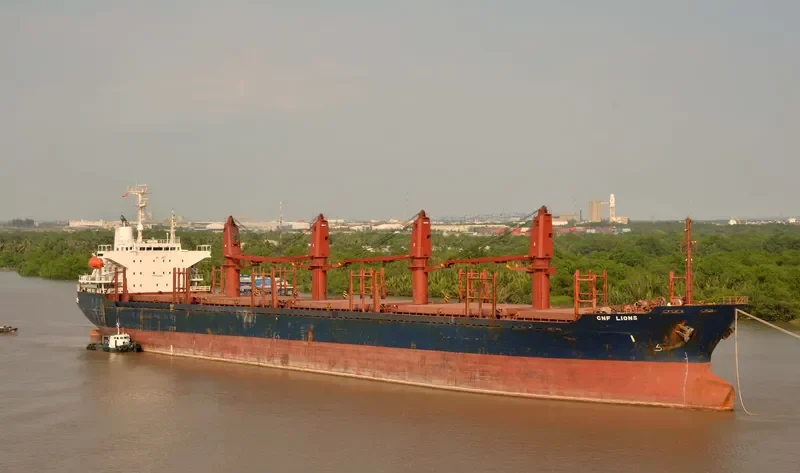 BEST WAVE Bulk Carrier IMO 9115080 photo 2
