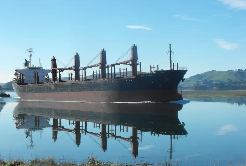 BEST WAVE Bulk Carrier IMO 9115080 photo 4