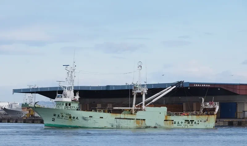 GENEI MARU NO.51 General Cargo IMO 9115200