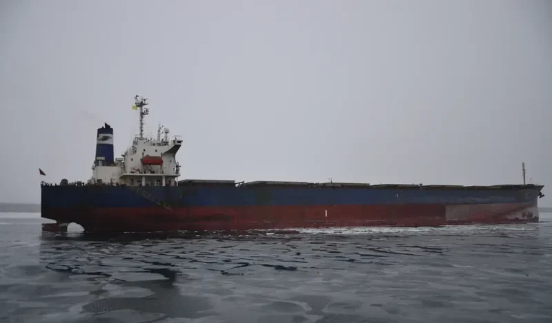 SHI DAI 6 Bulk Carrier IMO 9115224 photo 6
