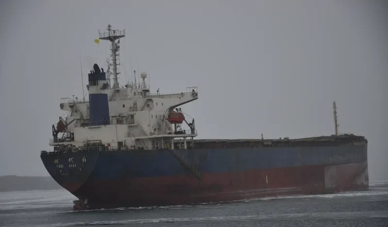 SHI DAI 6 Bulk Carrier IMO 9115224 photo 8