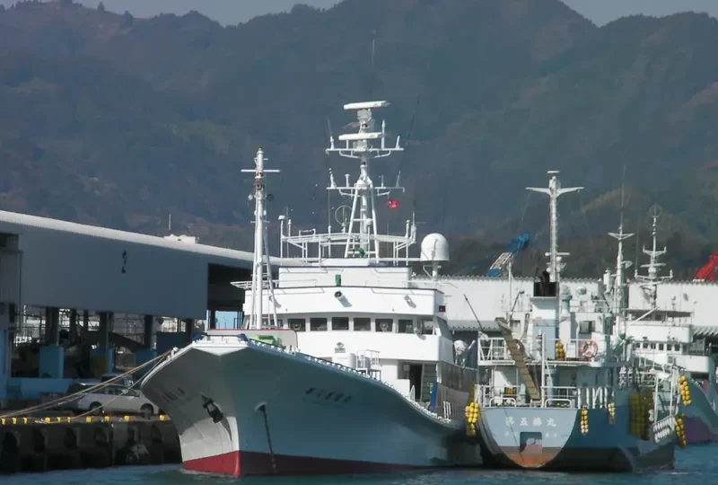 TOYOKUNIMAR NO.8 General Cargo IMO 9115250 photo 6