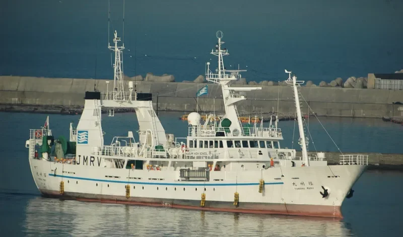 SHAMS 112 General Cargo IMO 9115262 photo 2