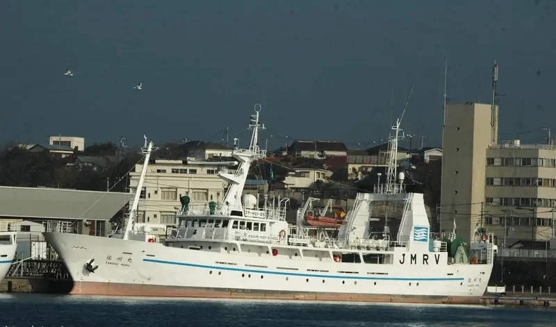 SHAMS 112 General Cargo IMO 9115262 photo 3