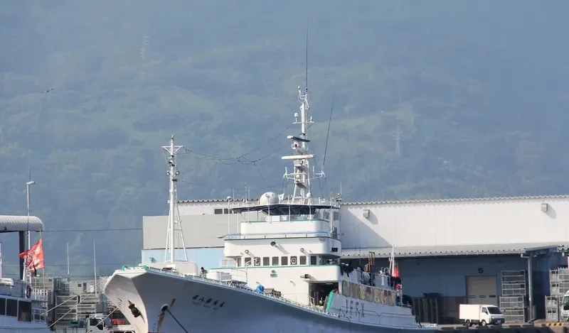SHOEI MARU NO.8 General Cargo IMO 9115274 photo 2
