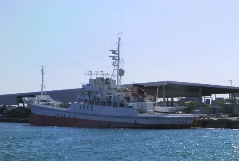 SHOEI MARU NO.8 General Cargo IMO 9115274 photo 5