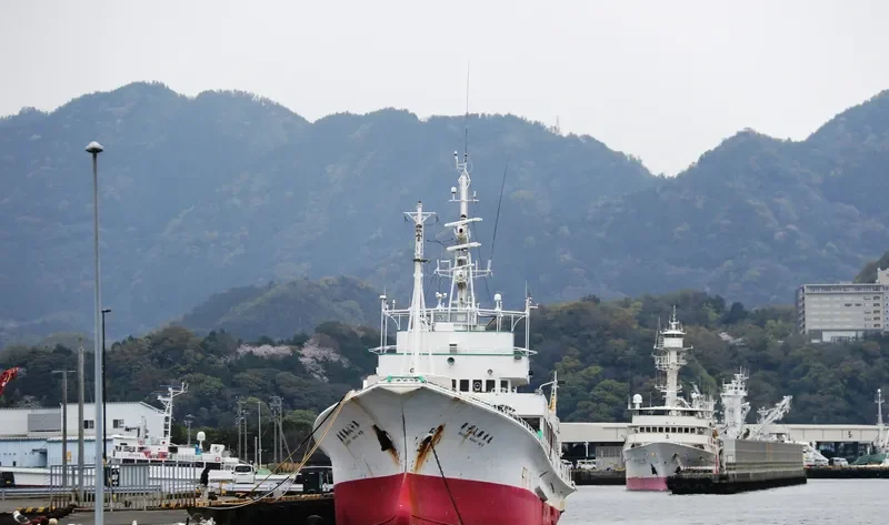SHOEI MARU NO.8 General Cargo IMO 9115274 photo 8