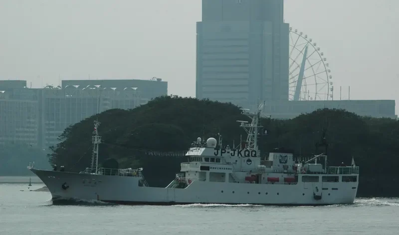 KAIYO MARU General Cargo IMO 9115391 photo 5