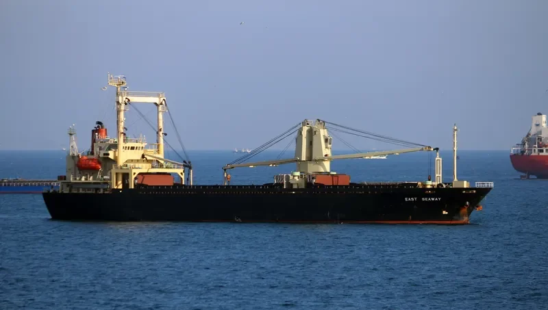 FU QIANG General Cargo IMO 9115406