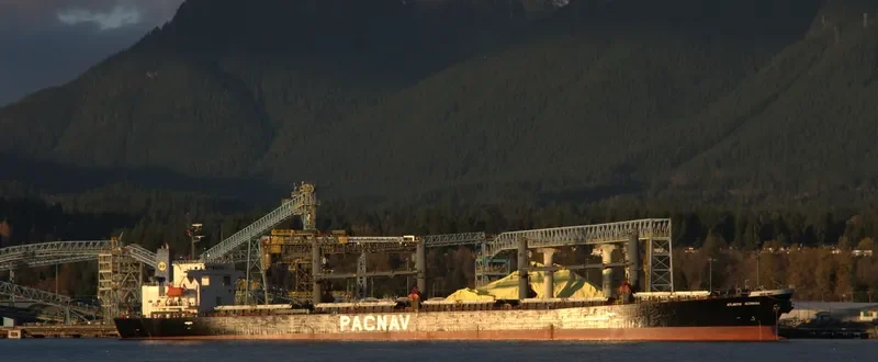 NARI NOX Tanker IMO 9115432 photo 3