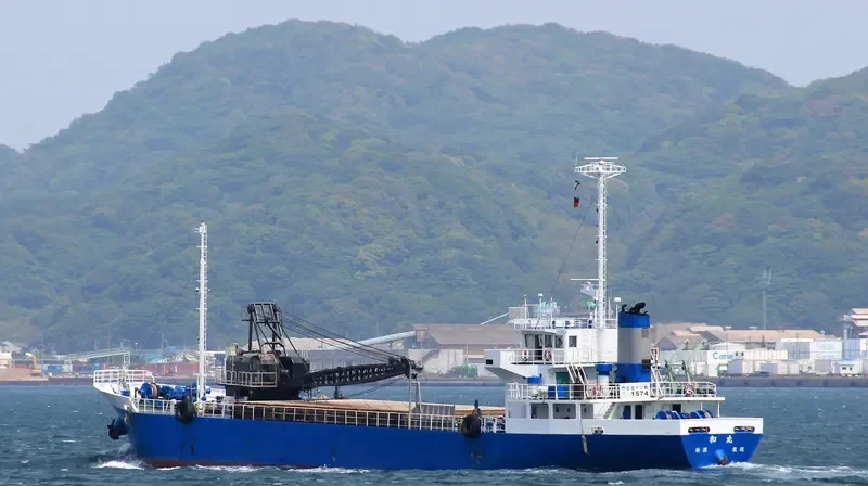 ANITA General Cargo IMO 9115511