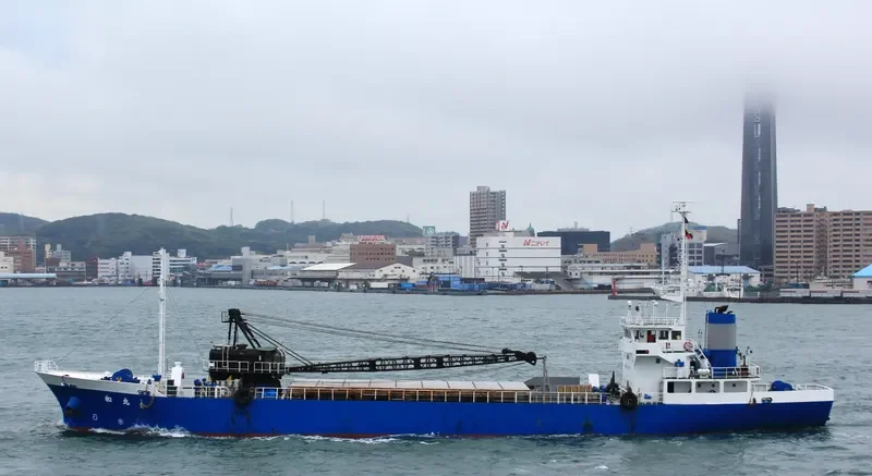 ANITA General Cargo IMO 9115511 photo 4