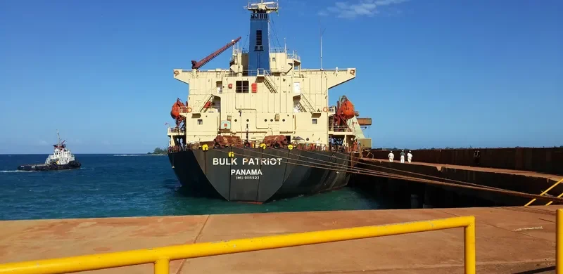 ASIAN BULK Bulk Carrier IMO 9115523 photo 2