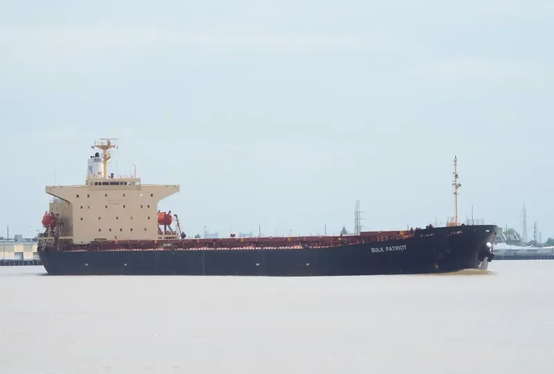 ASIAN BULK Bulk Carrier IMO 9115523 photo 3