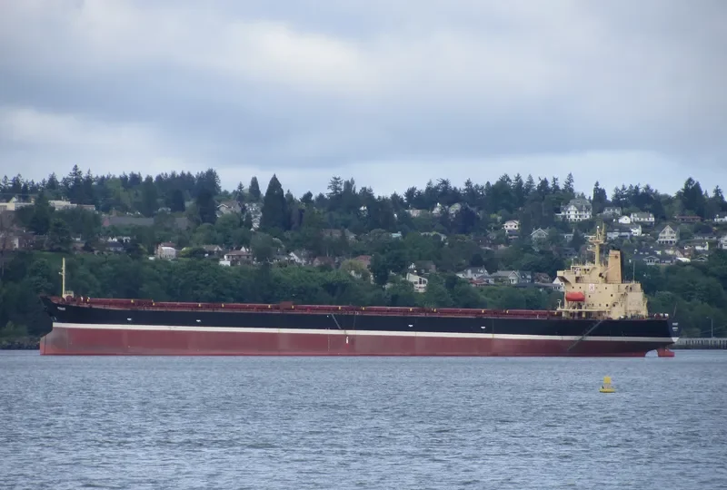 ASIAN BULK Bulk Carrier IMO 9115523 photo 7