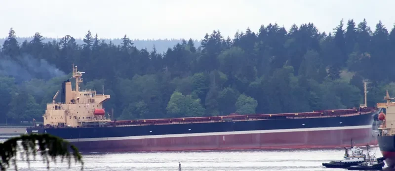 ASIAN BULK Bulk Carrier IMO 9115523 photo 8