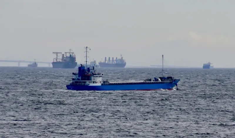 LUCKY OCEAN General Cargo IMO 9115638 photo 5
