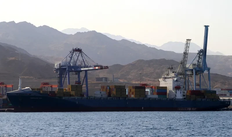 SARA Container Ship IMO 9115717 photo 2