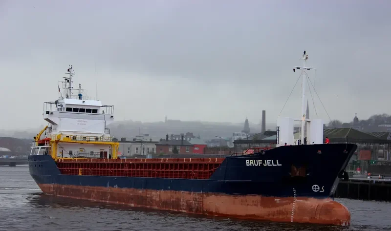 WAGON B General Cargo IMO 9115925 photo 2
