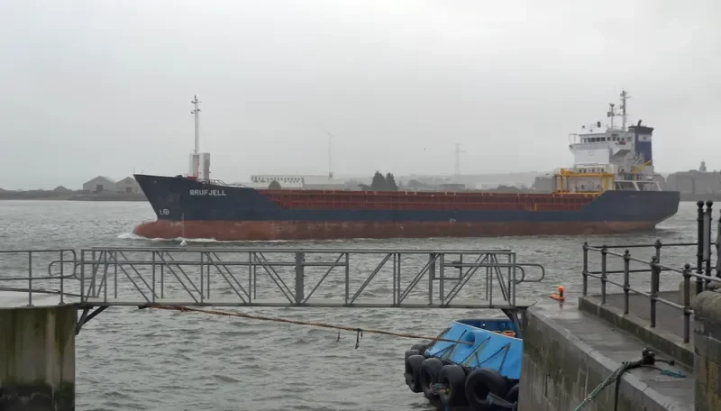 WAGON B General Cargo IMO 9115925 photo 4