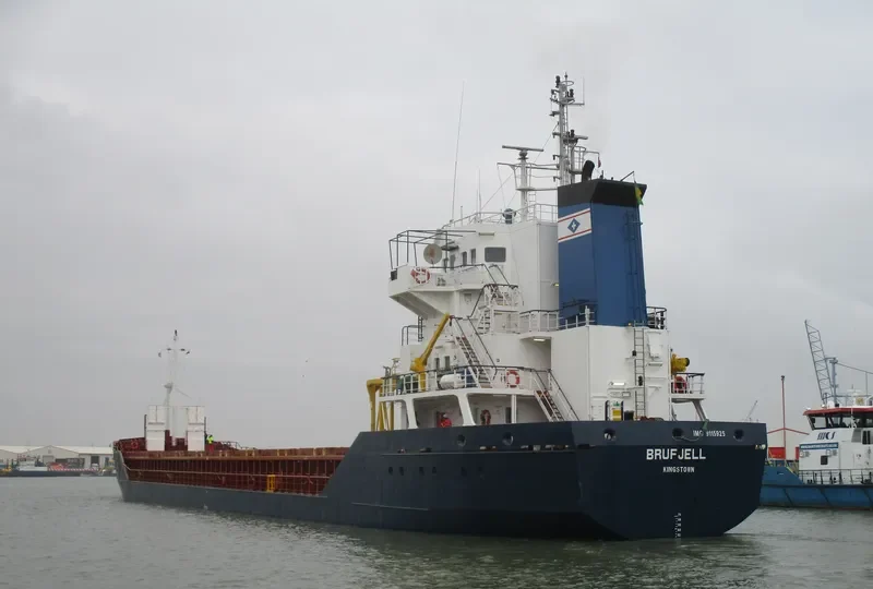 WAGON B General Cargo IMO 9115925 photo 10
