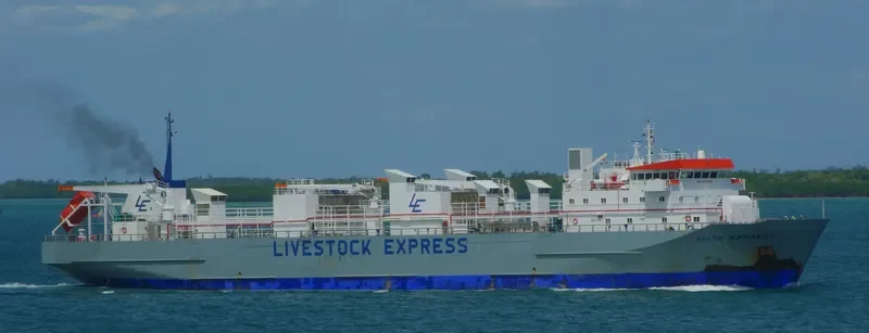 BISON EXPRESS General Cargo IMO 9115949 photo 2