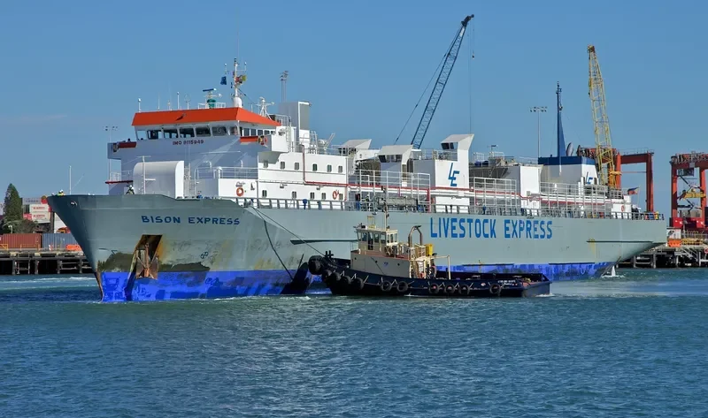 BISON EXPRESS General Cargo IMO 9115949 photo 4