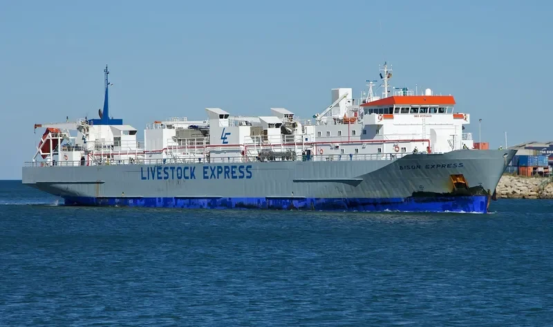 BISON EXPRESS General Cargo IMO 9115949 photo 5